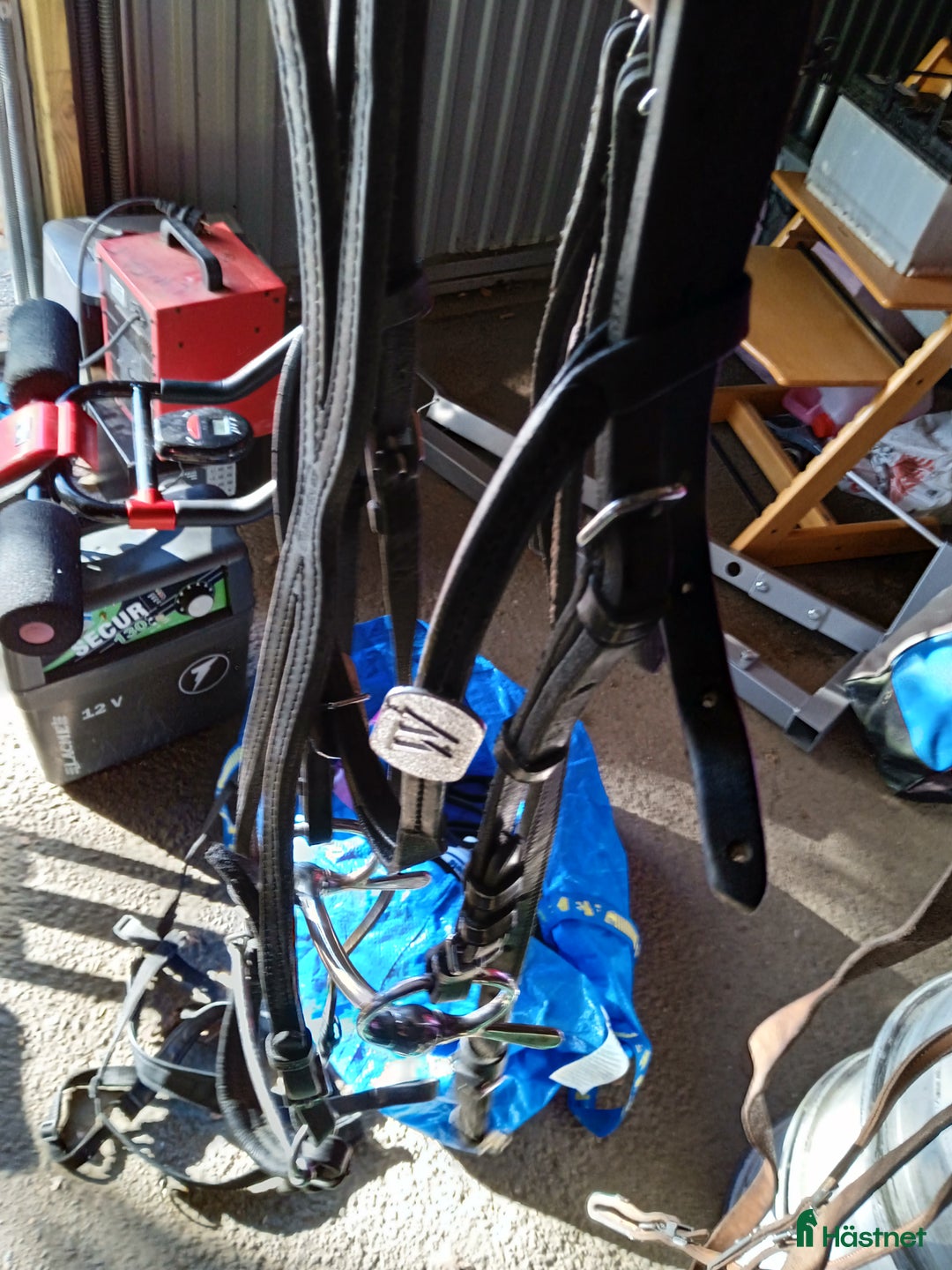 Övrig Travutrustning trav till salu: Huvudlag,aggregat box,töm,gamascher,led belysning  i Eskilstuna - Annons 2