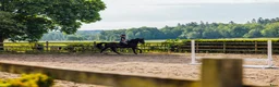  lägenhet till salu: Lägenhet och stallplats uthyres - Annons 6