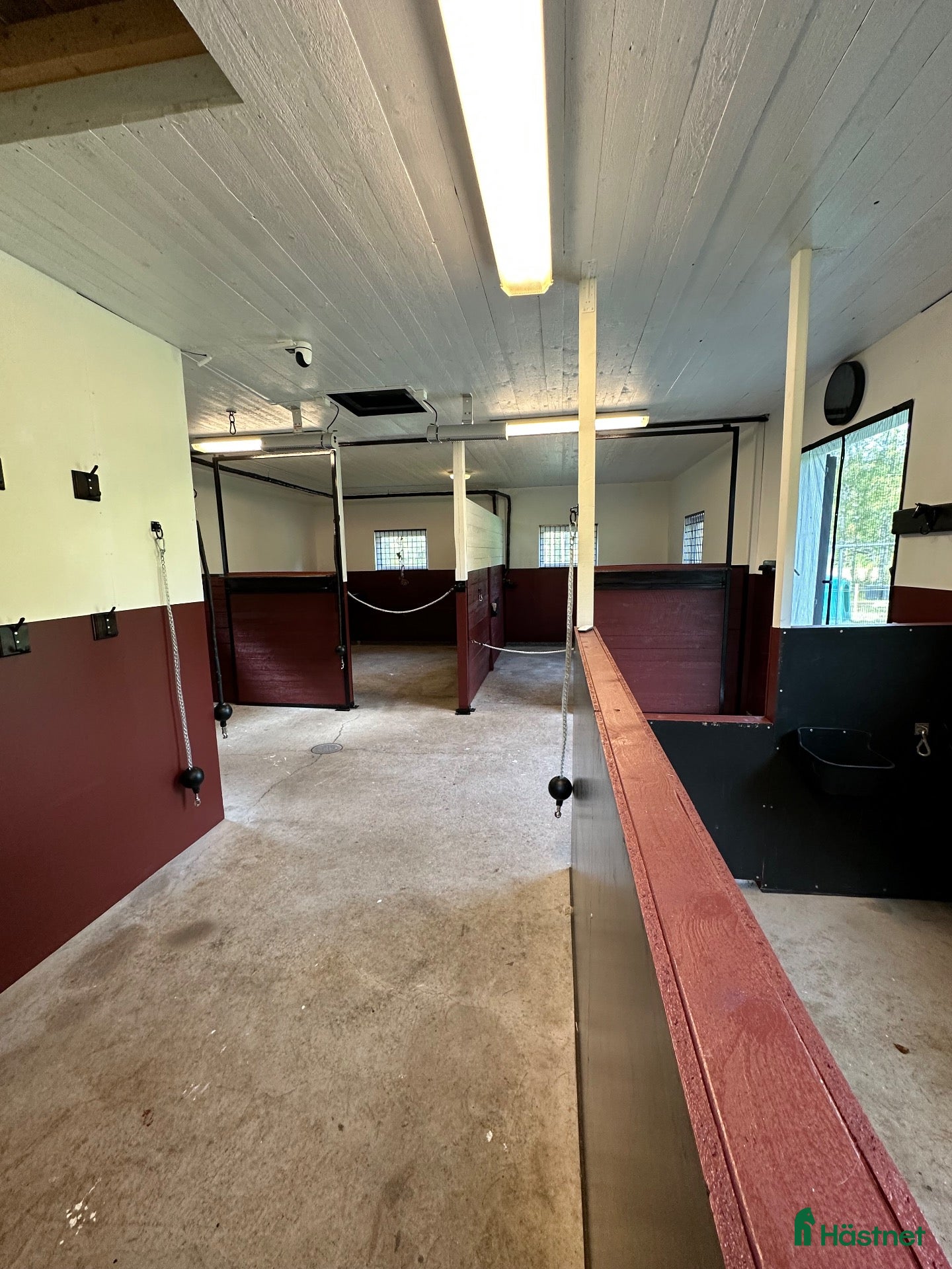  stallplats Lediga stallplatser - Annons 6