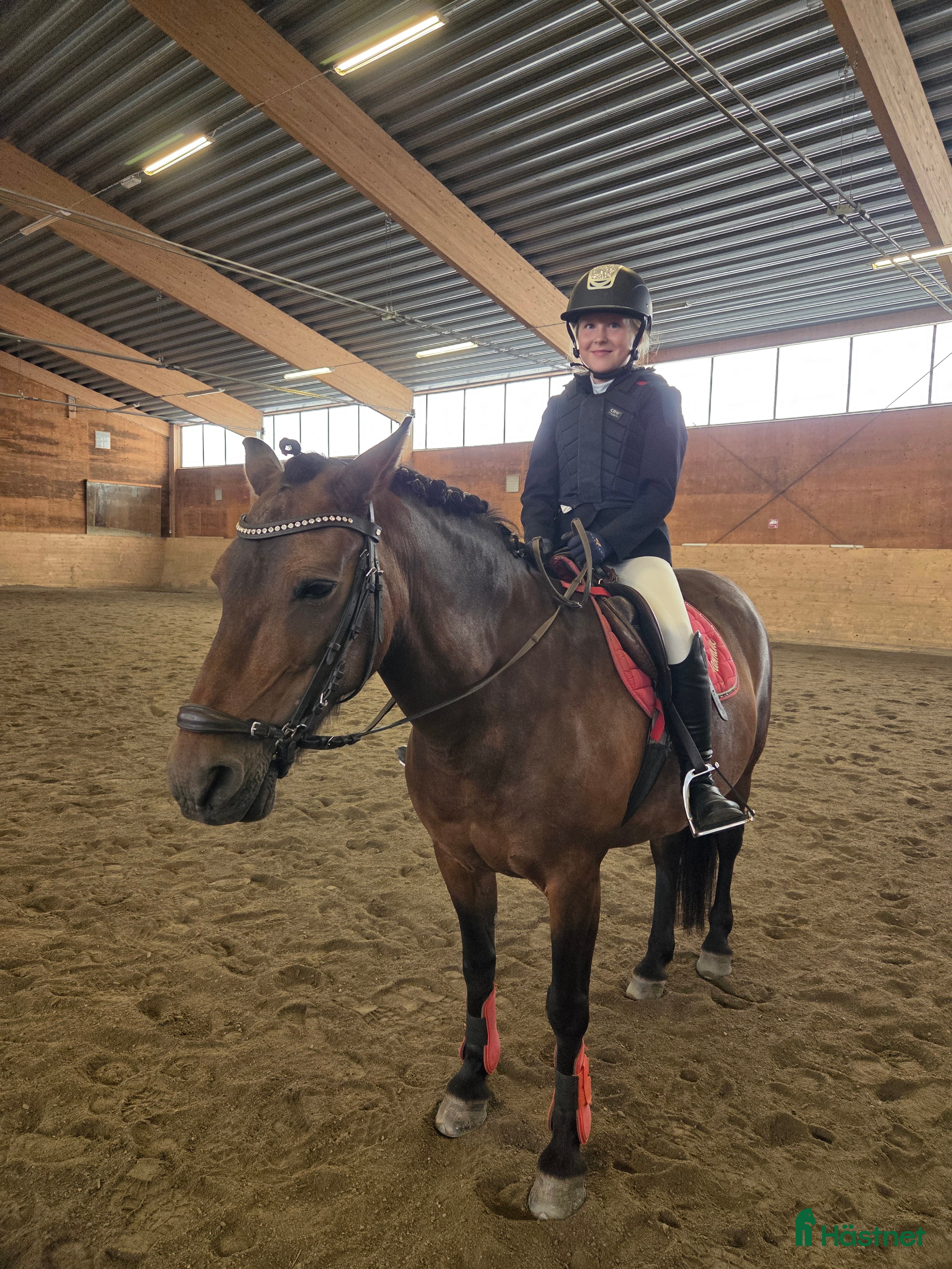  hästar Läromästare sökes  i Kilafors - Annons 15