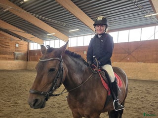 hästar Läromästare sökes i Kilafors - Annons 7