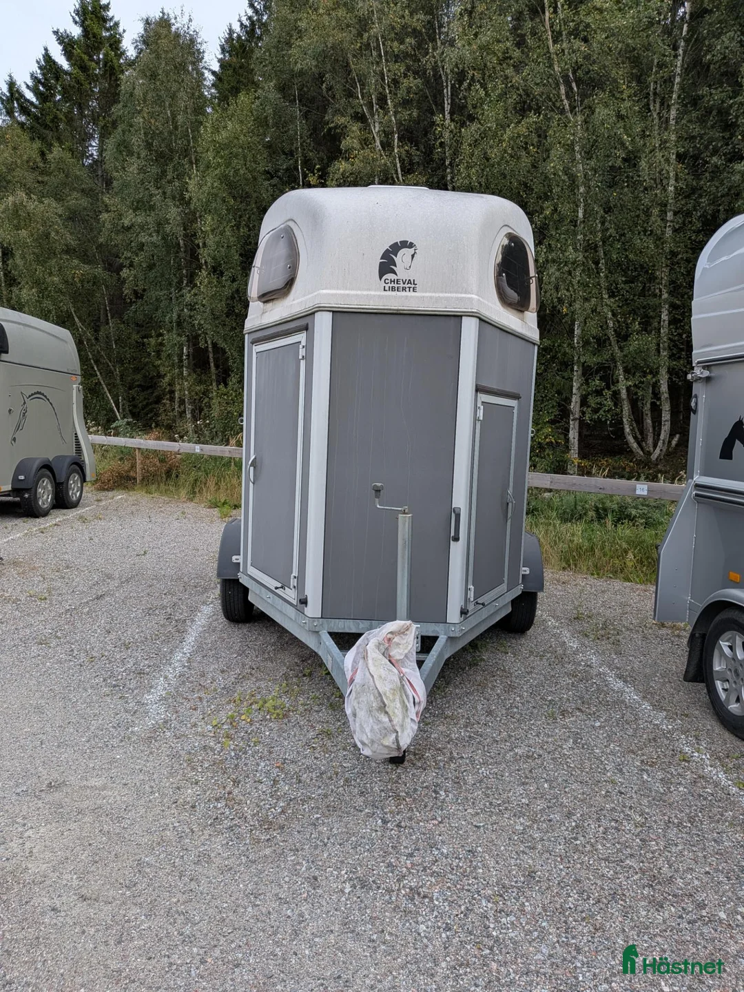 Hästtransporter  fordon & transport till salu: Cheval Liberte Gold  - Annons 2