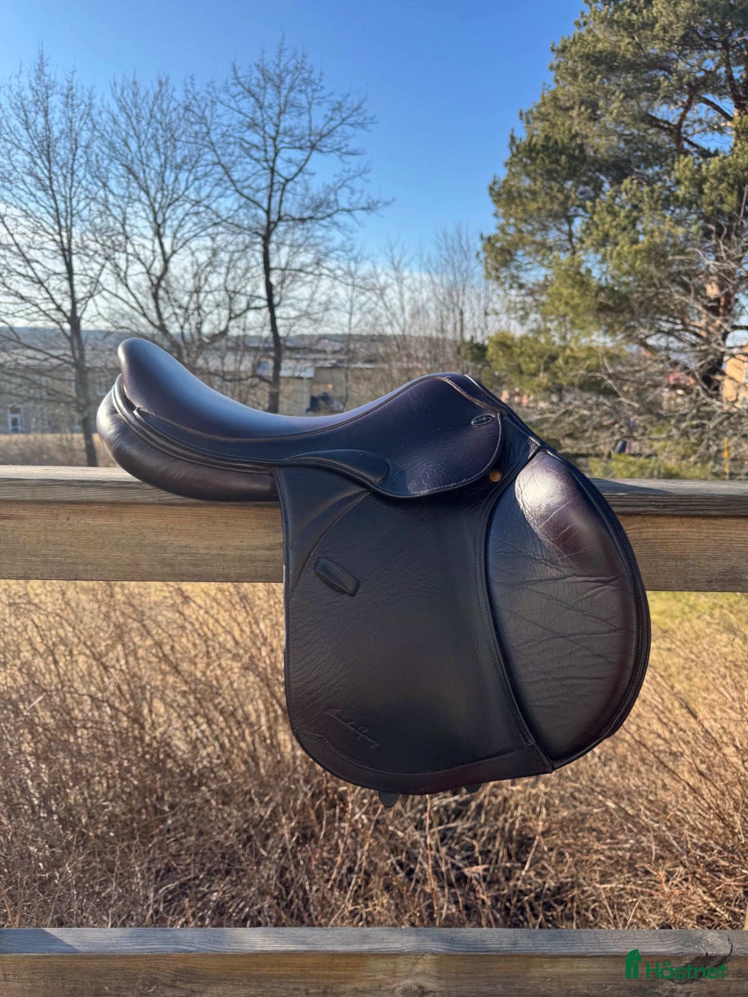 Sadlar hästutrustning Santa Cruz Merino Hoppsadel  - Annons 1
