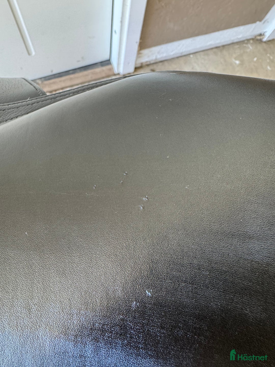 Sadlar hästutrustning till salu: Knights sir Walter  i Skivarp - Annons 5