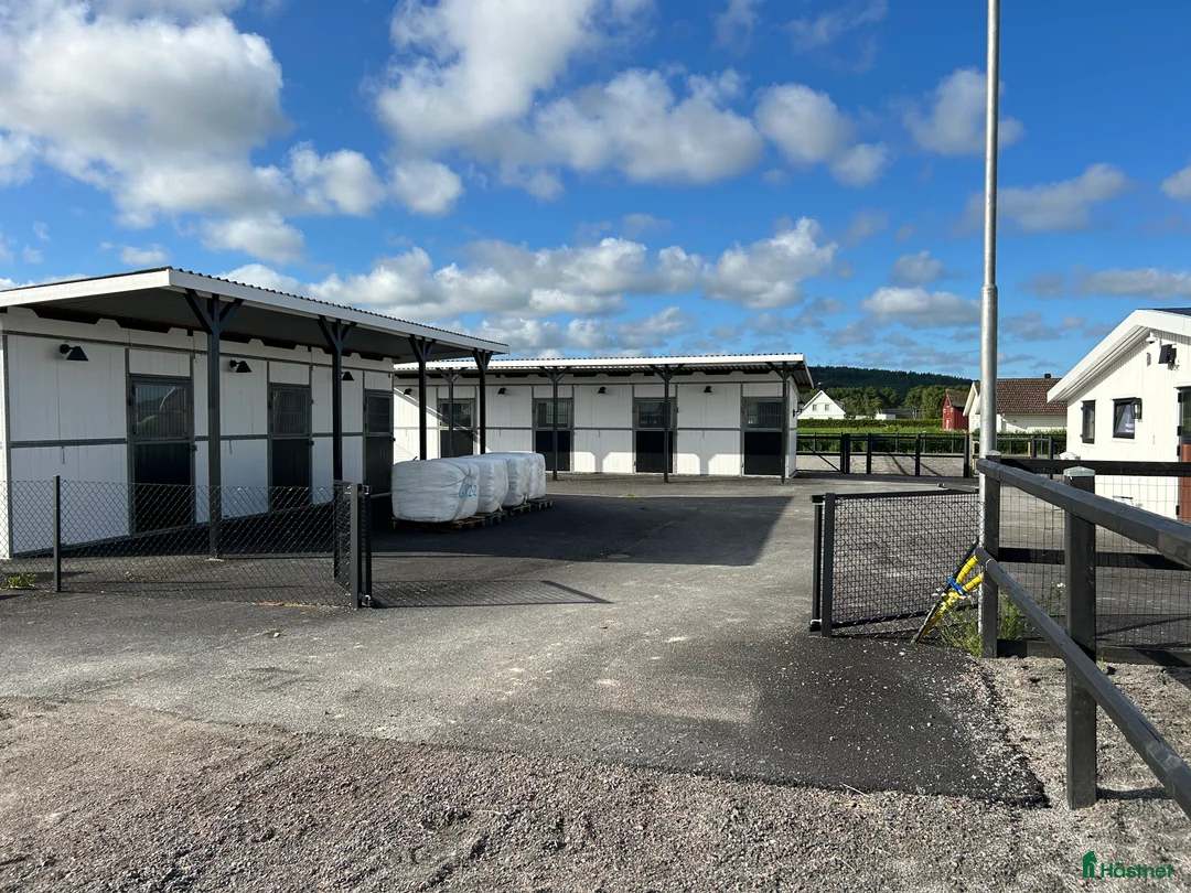  hästjobb finnes: Ansvarsfull medarbetare sökes i Kungsbacka - Annons 2