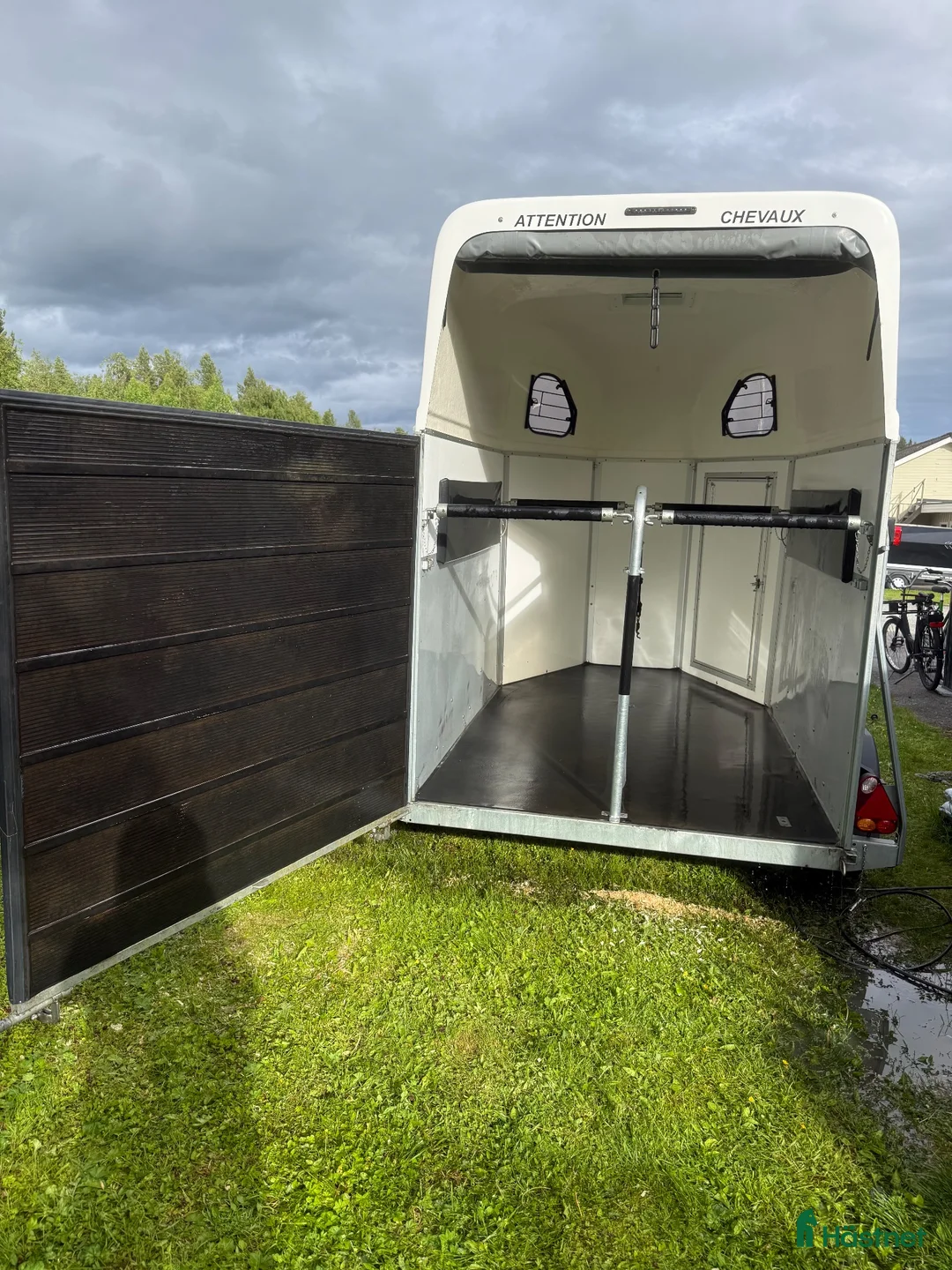 Hästtransporter  fordon & transport till salu: Cheval liberte gold - Annons 5