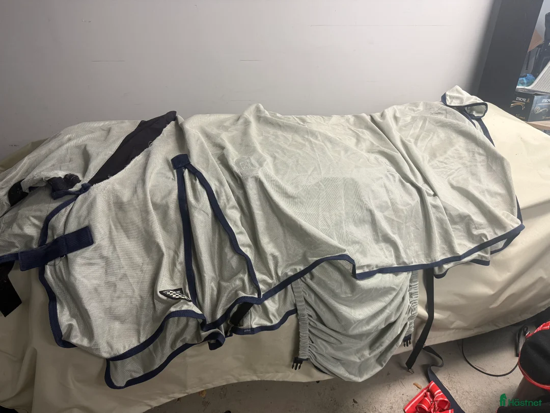 Övrig Hästutrustning hästutrustning till salu: Blandade hästsaker i Vellinge - Annons 2