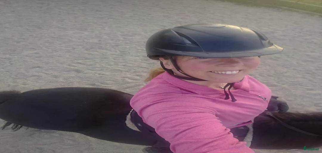 Galleribild {{count}}