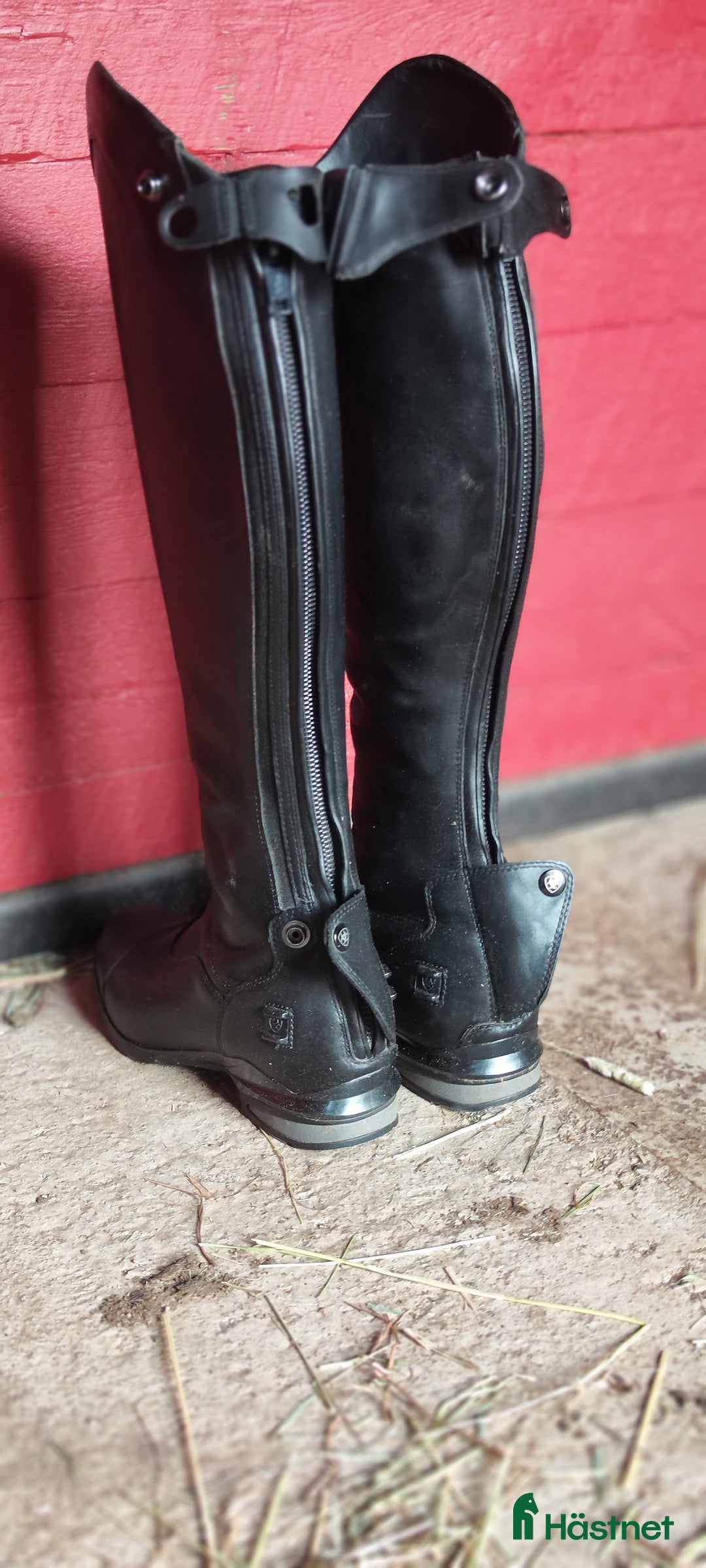 Ridstövlar ryttarutrustning till salu: Ariat Nitro ridstövlar  i Vimmerby - Annons 4
