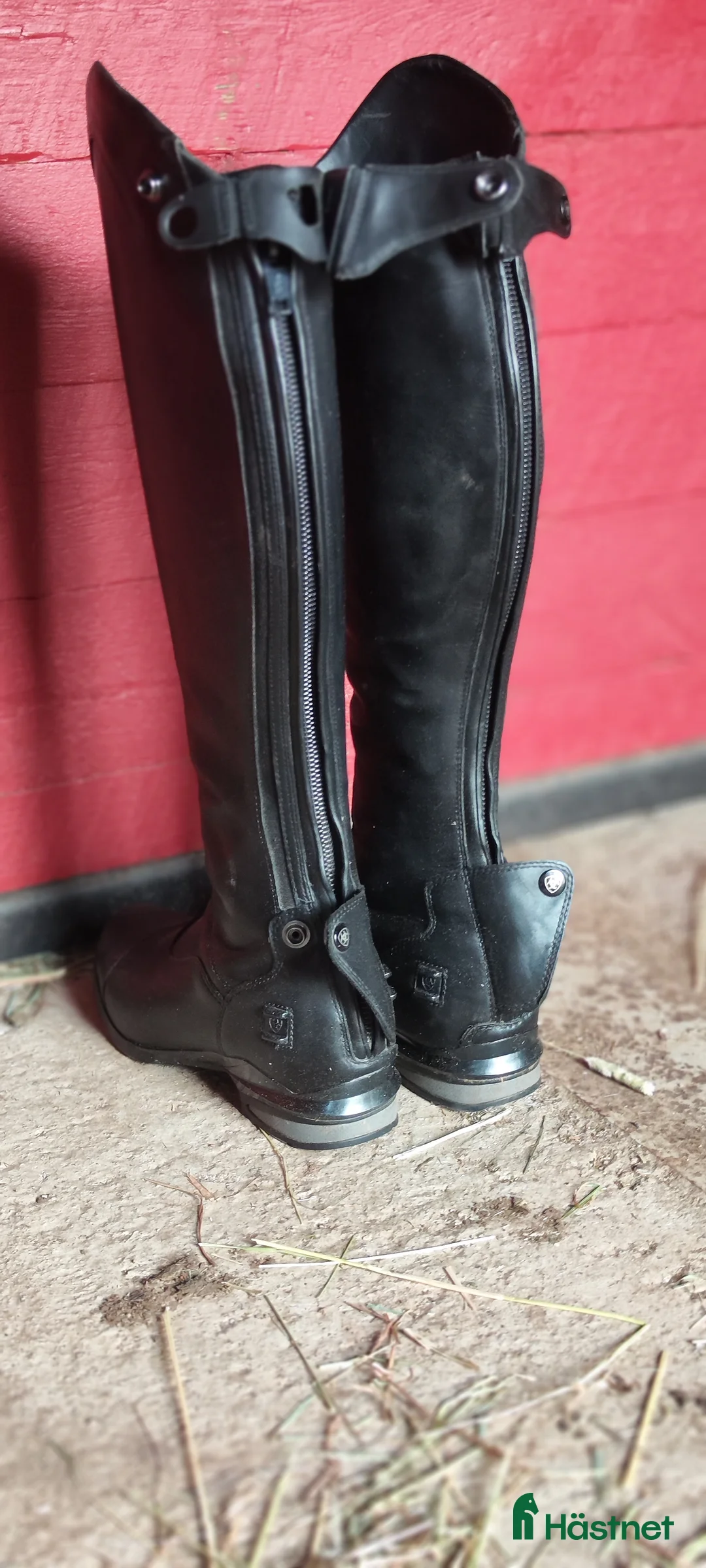 Ridstövlar ryttarutrustning till salu: Ariat Nitro ridstövlar  - Annons 4