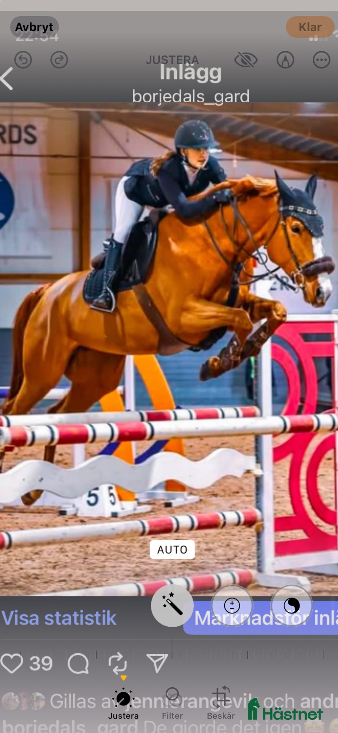 Hoppning hästar till salu: Supertemperament och mkt god ridbarhet - Annons 1