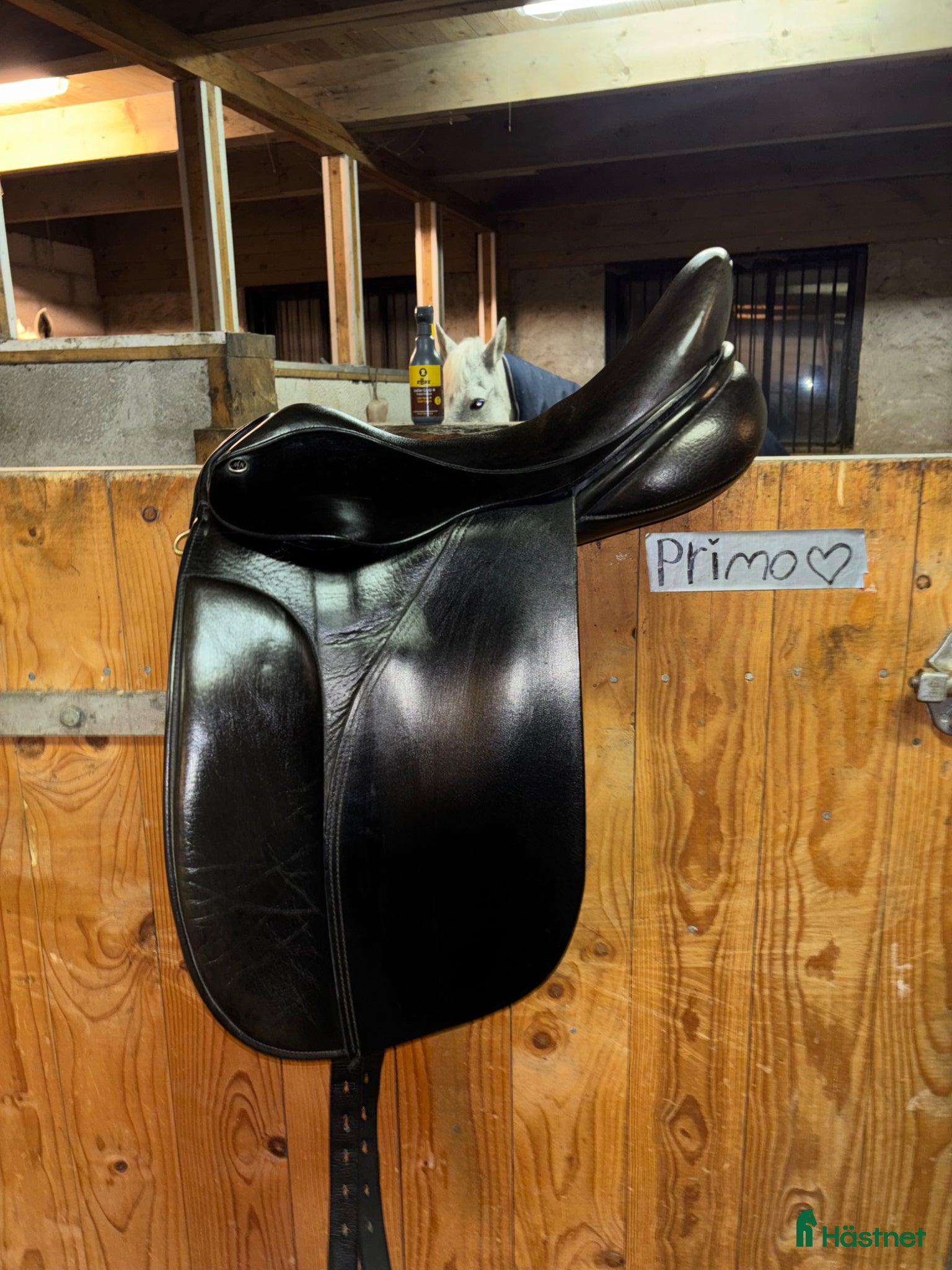 Sadlar hästutrustning Svart Morris & Nolan Dressyrsadel  - Annons 9