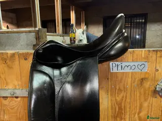 Sadlar hästutrustning Svart Morris & Nolan Dressyrsadel - Annons 9