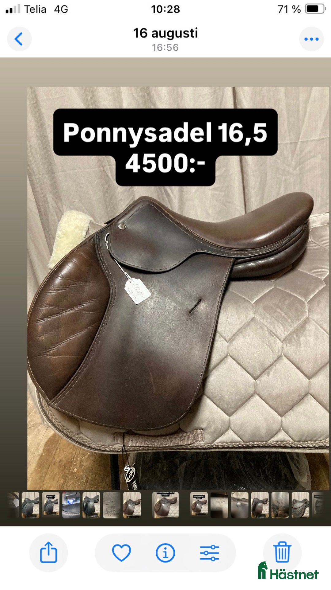 Övrig Hästutrustning hästutrustning till salu: Secondhandbutik - Annons 3