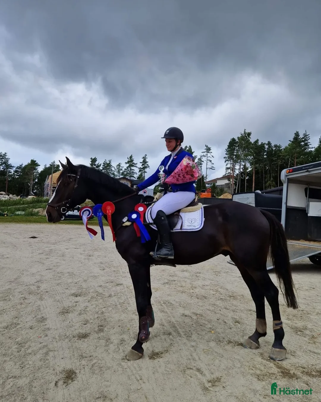 Hoppning hästar till salu: Fälttävlan/hopphest som elsker å jobbe i Råde - Annons 10