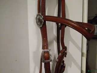 Träns hästutrustning till salu: Western huvudlag i Härnösand - Annons 1