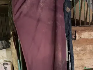 Täcken hästutrustning Amigo täcke med hals - Annons 6