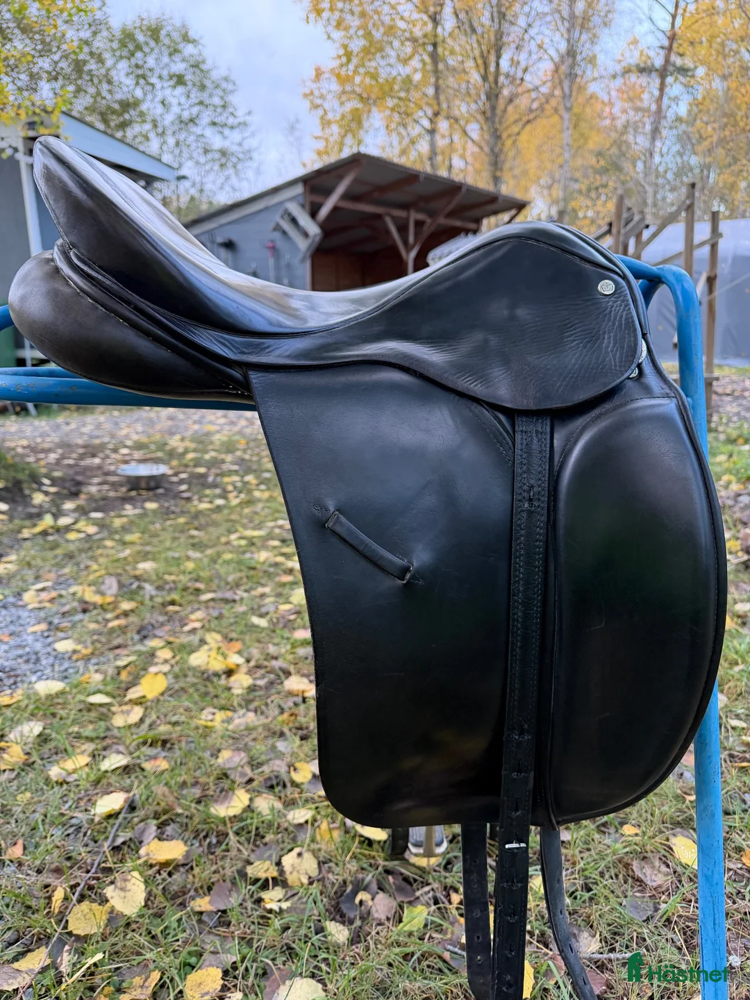Sadlar hästutrustning till salu: Regal dressage Spring Tree, - Annons 2