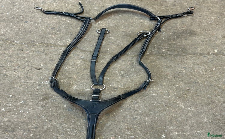 Övrig Hästutrustning hästutrustning till salu i Gävle - Annons 13