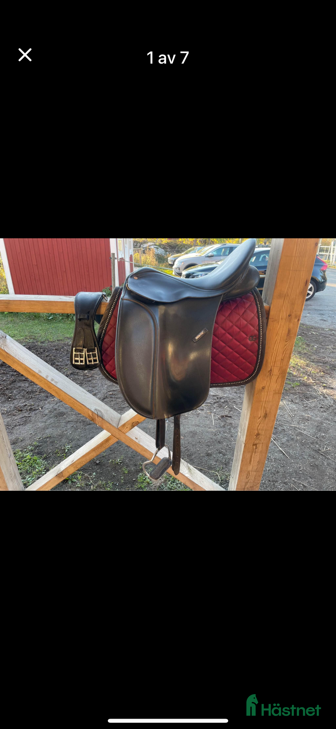 Sadlar hästutrustning till salu: Wintec  i Lycksele - Annons 1