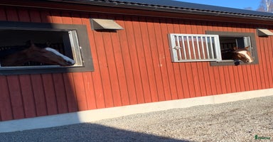  stallplats i Uppsala - Annons 16