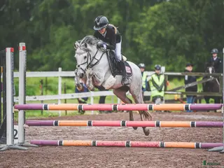 hästar Vacker B-ponny med kapacitet i Smedjebacken - Annons 1