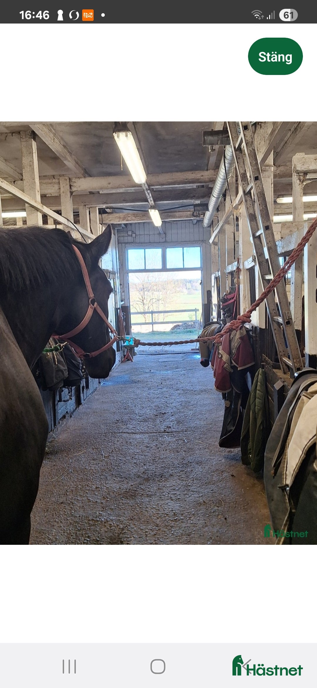  stallplats finnes: Stallplatser i Tungelsta  i Tungelsta - Annons 1