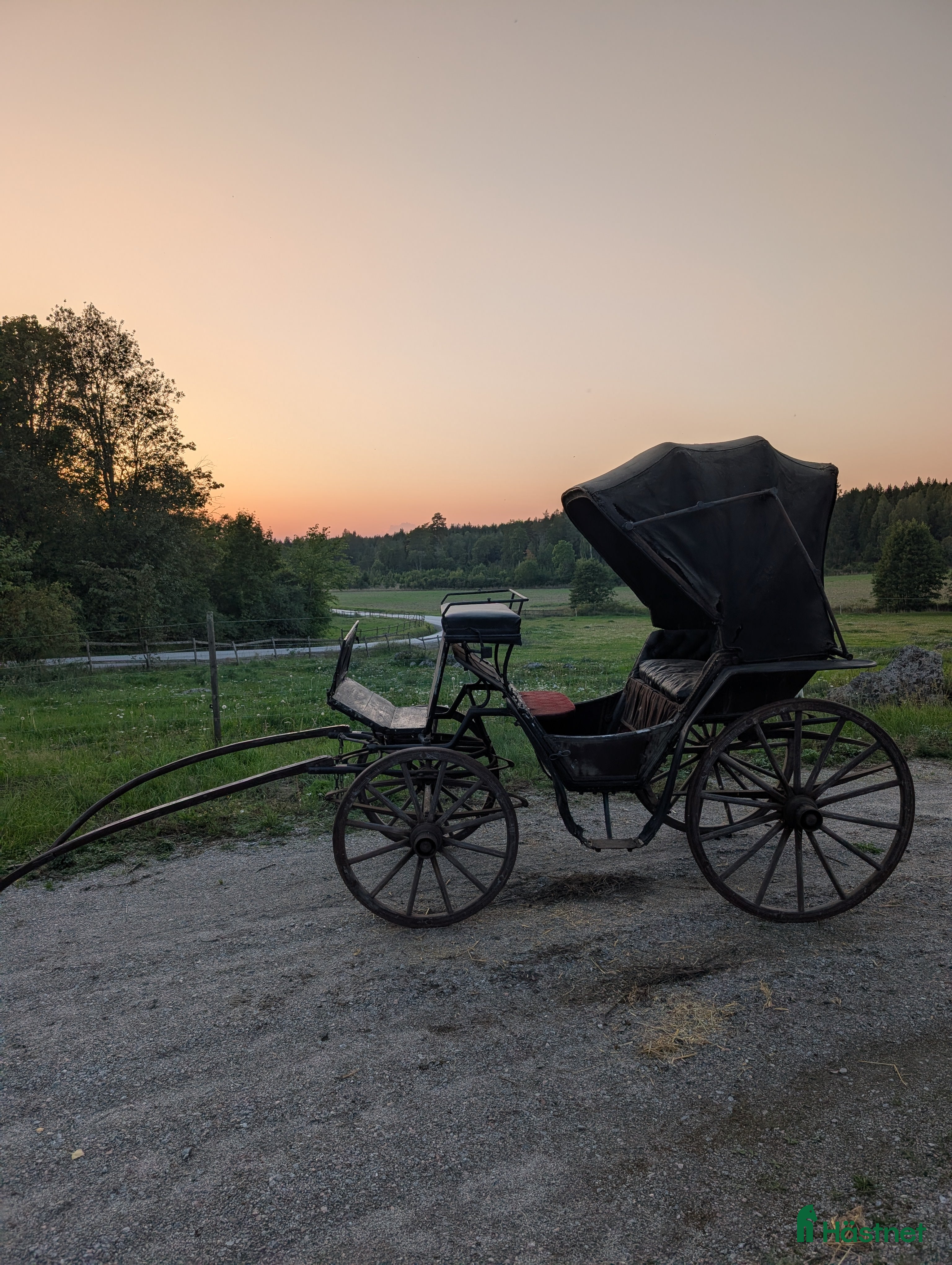 Körvagnar körning till salu: Vacker vagn med sufflet (projekt) i Sigtuna - Annons 19
