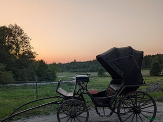 Körvagnar körning till salu: Vacker vagn med sufflet (projekt) i Sigtuna - Annons 13