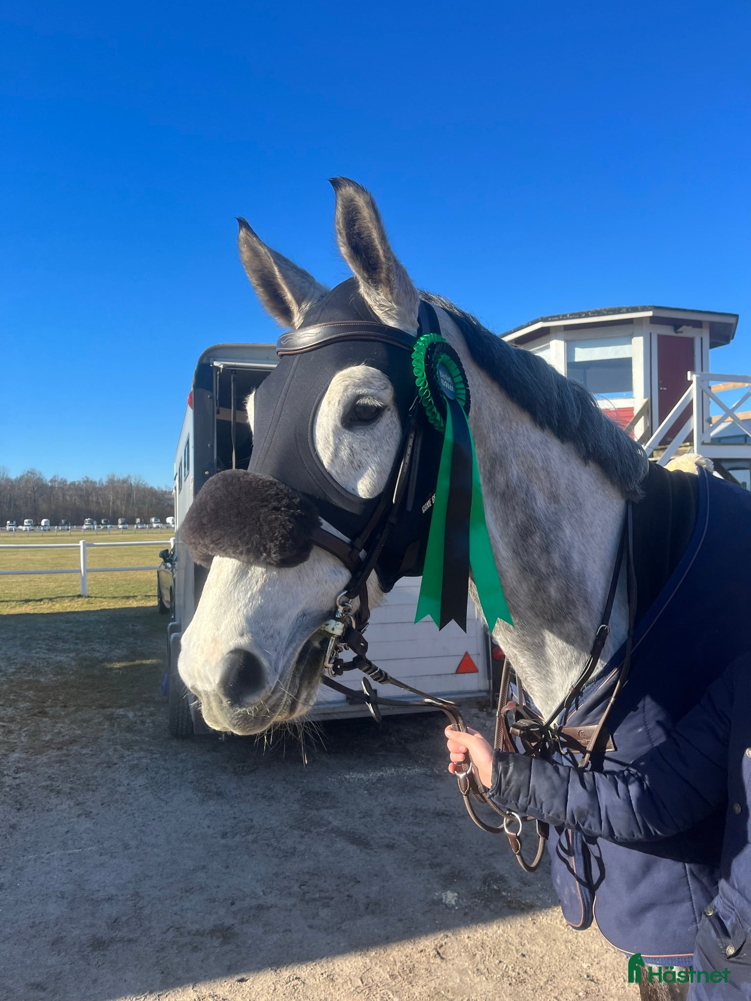  hästar Trevlig stor valack med stort hjärta  🌟🦄  i Halmstad - Annons 18