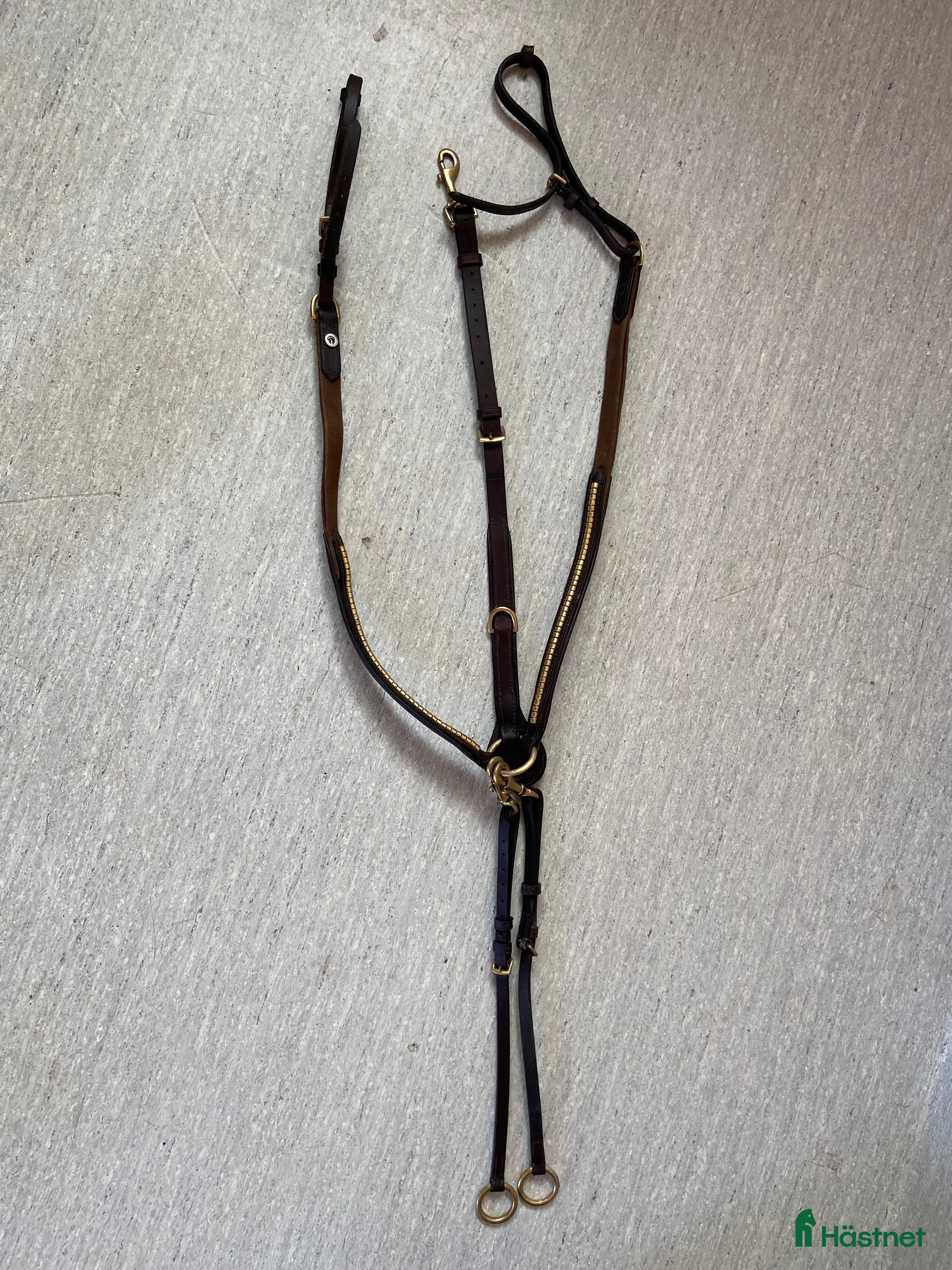 Övrig Hästutrustning hästutrustning till salu: Förbygel  i Kristianstad - Annons 24