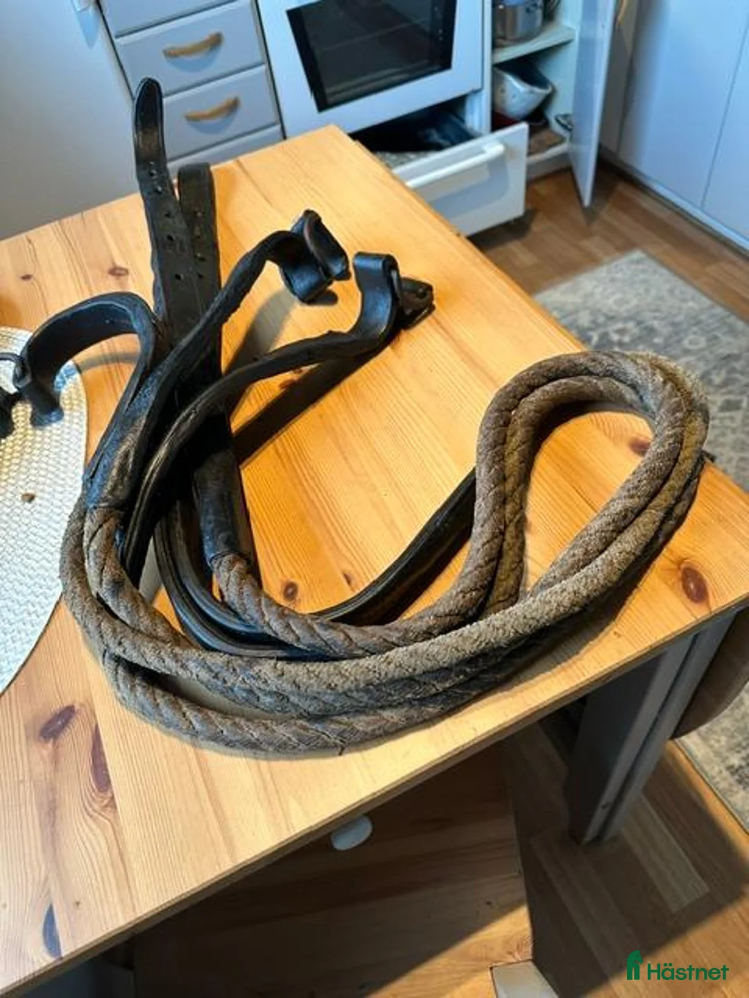 Körselar körning till salu: Draglinor i läder o Hampa lina/snöre till körselar - Annons 2
