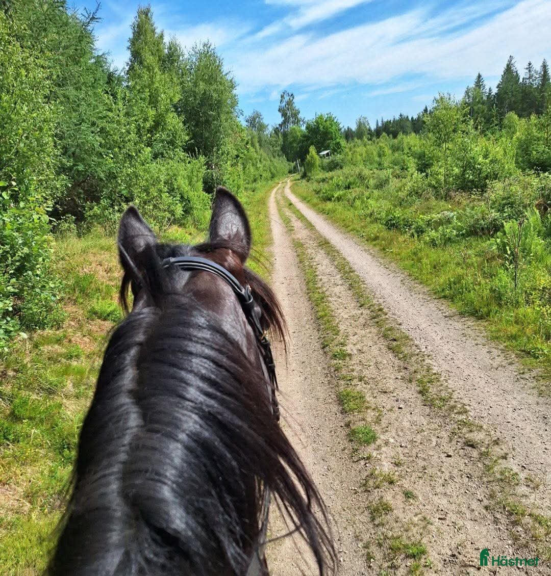  stallplats Stallplats borås - Lockryd - Annons 1