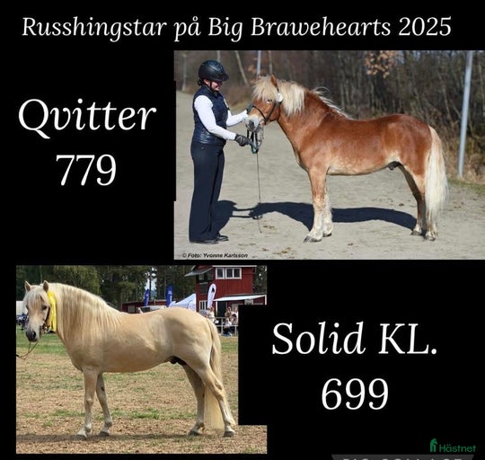 Galleribild {{count}}