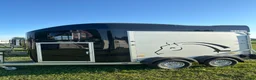 Hästtransporter  fordon & transport till salu: Cheval Gold Orginis  - Annons 2
