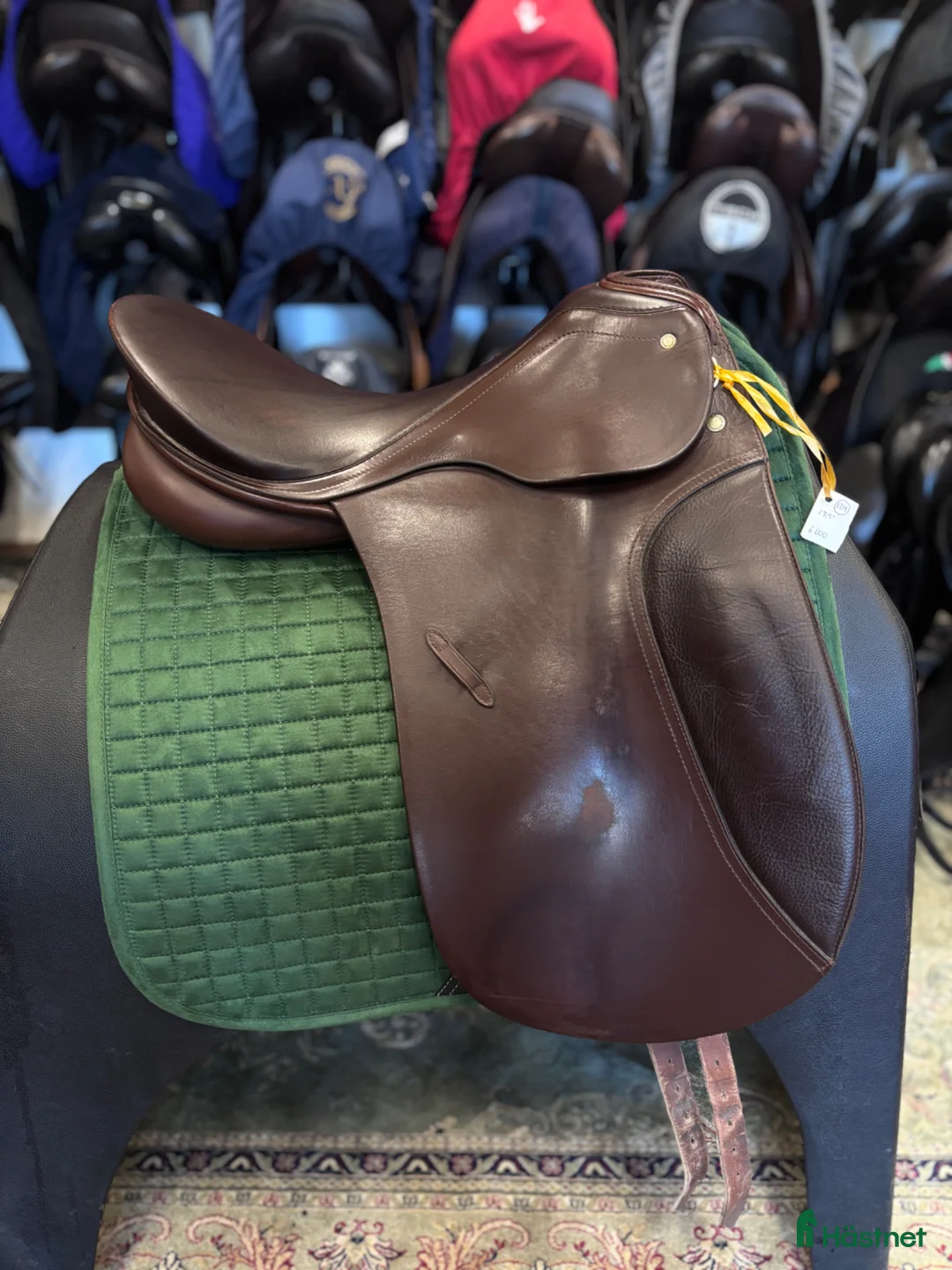 Sadlar hästutrustning till salu: Passier Lenox  - Annons 2