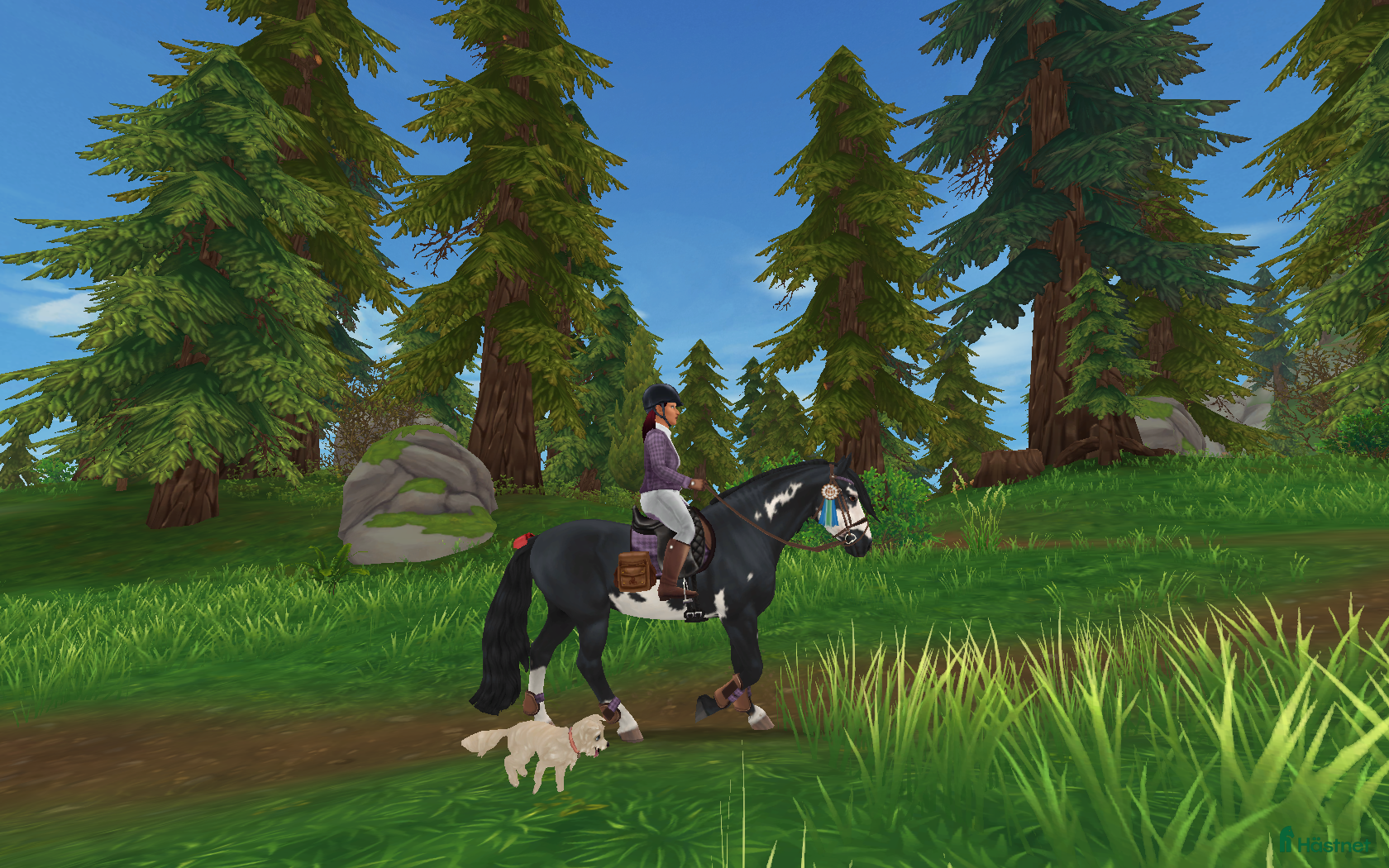  hästar SÖKES! - Annons 3