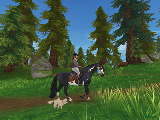 hästar SÖKES! i Vollsjö - Annons 3