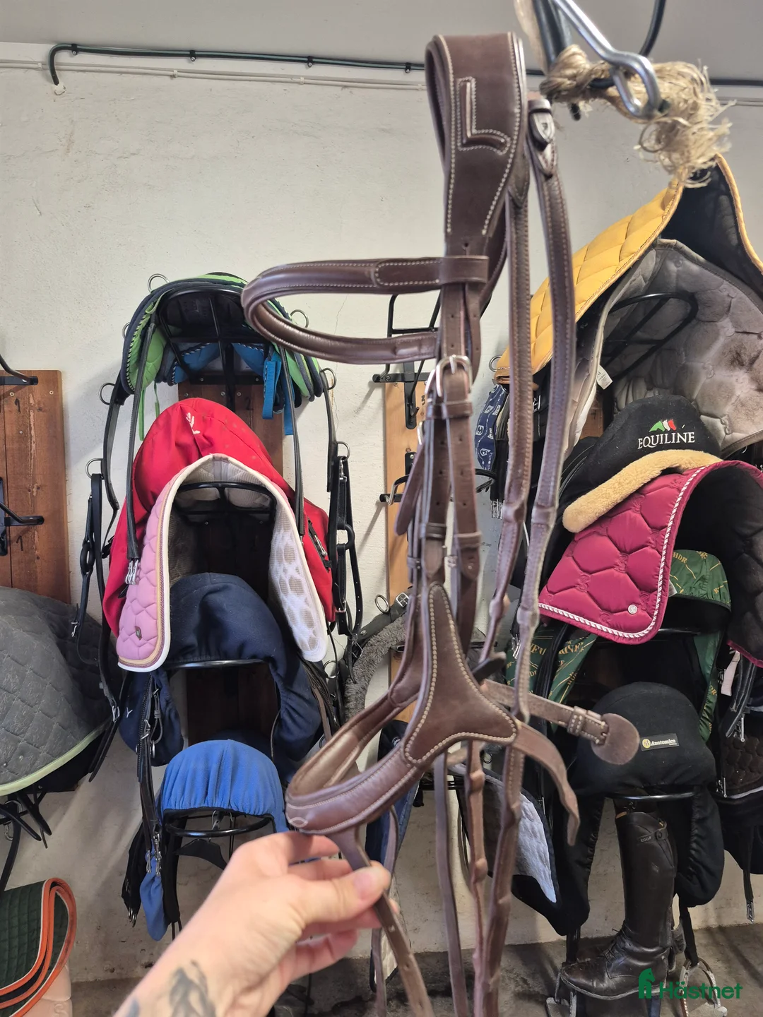 Träns hästutrustning till salu: Lippo träns - Annons 3