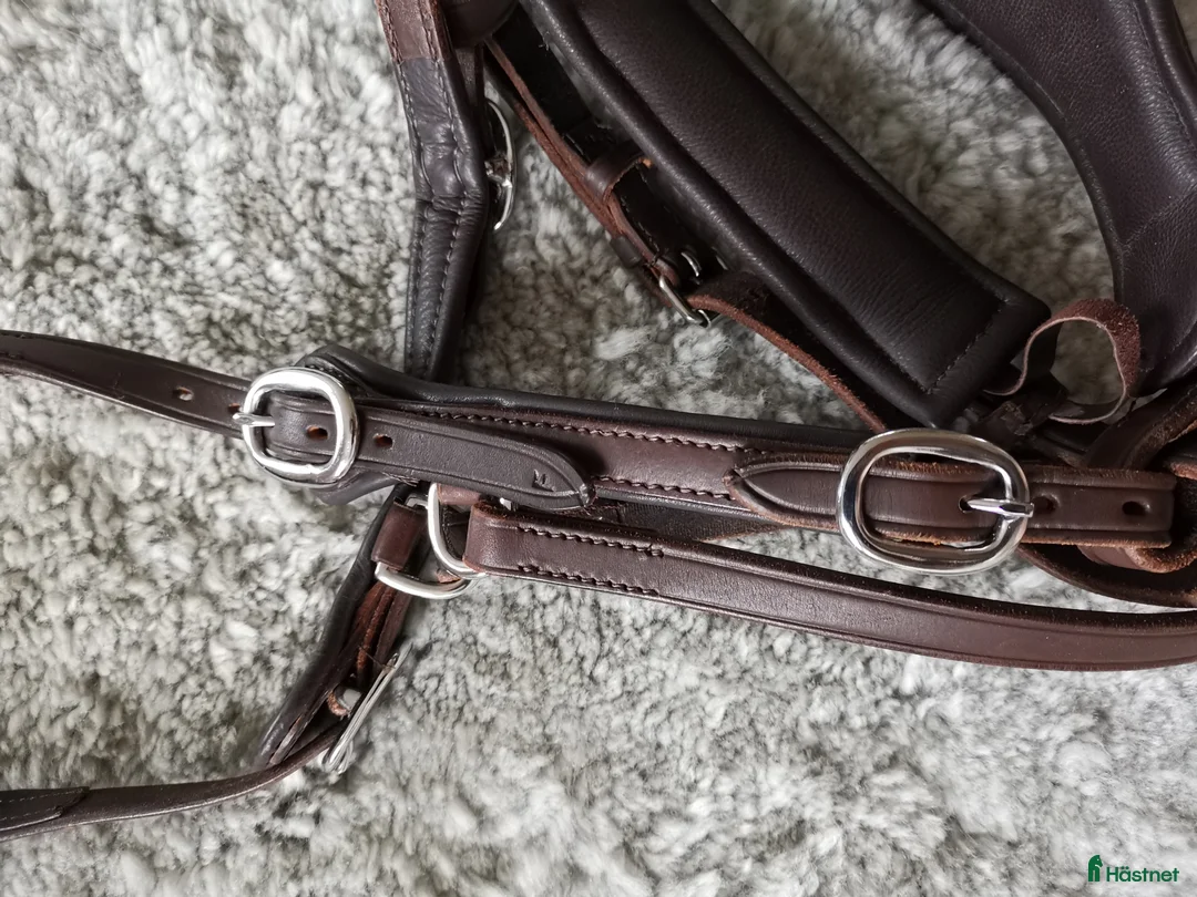 Träns hästutrustning till salu: Bettlöst Hackamore  i Ludvika - Annons 8