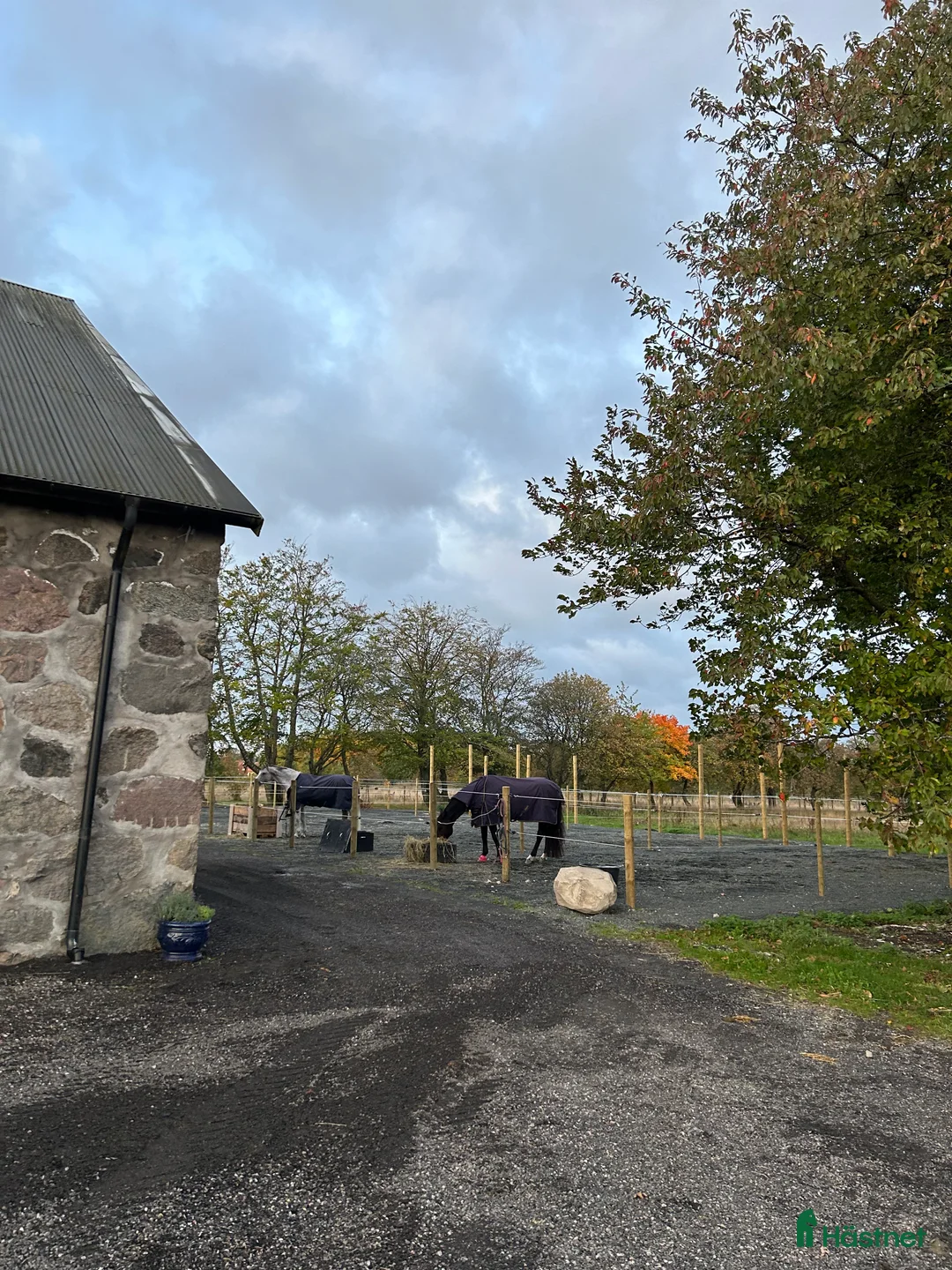  stallplats finnes: Stallplats Eslöv med service i Eslöv - Annons 2