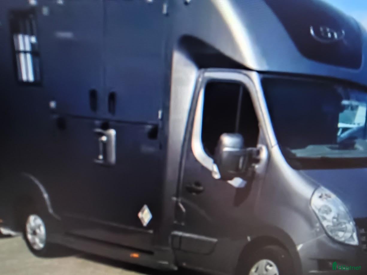 Hästlastbilar  fordon & transport till salu: Hästlastbil B-kort köpes - Annons 3
