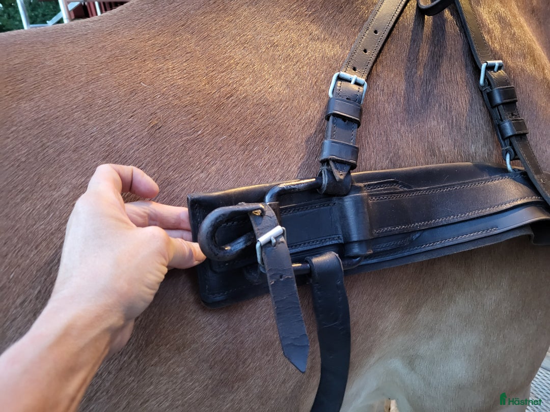 Övrig Hästutrustning hästutrustning till salu: Brösta till stor häst i Grillby - Annons 4