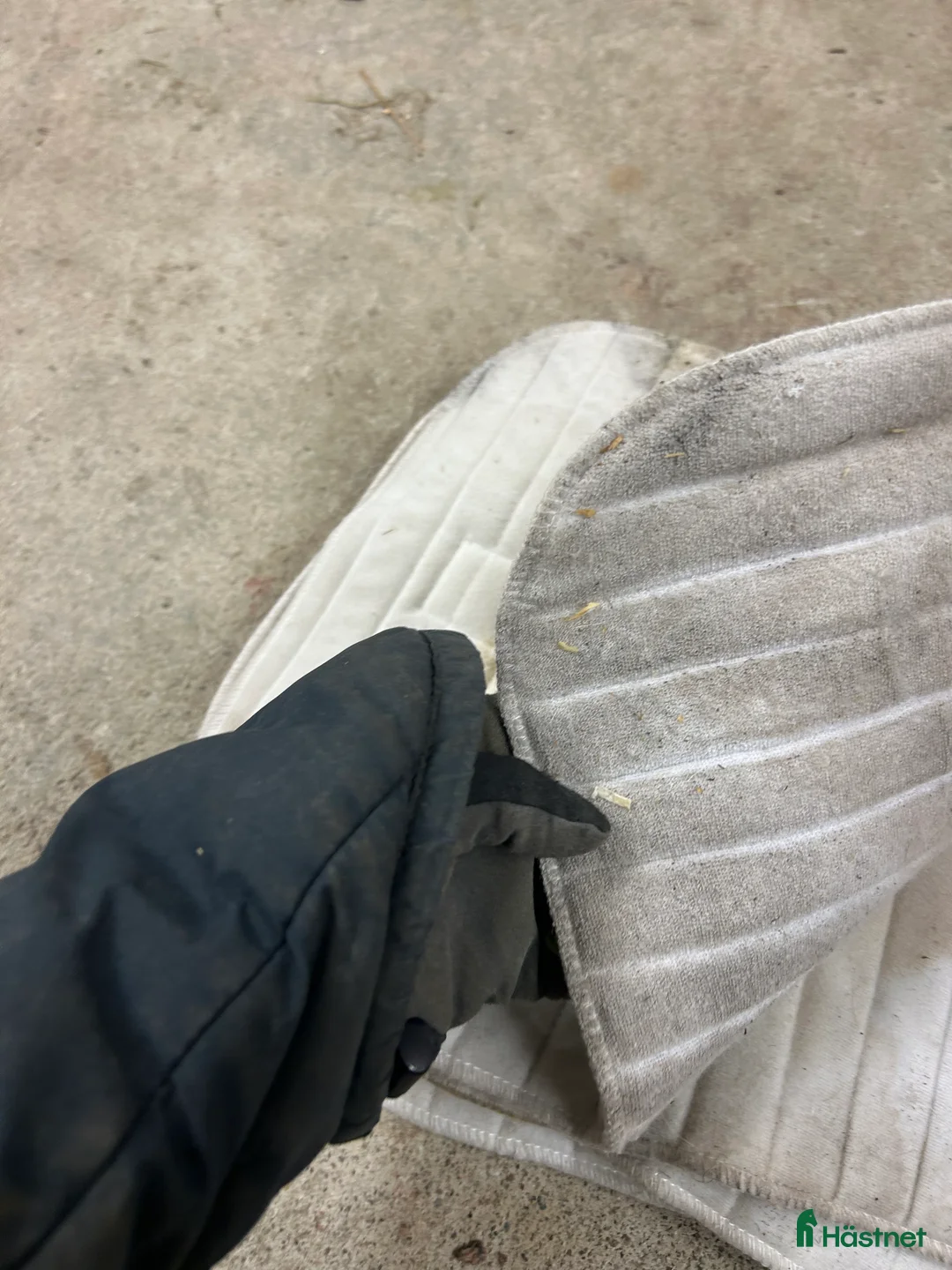 Övrig Hästutrustning hästutrustning till salu: Blandad utrustning? i Gävle - Annons 12