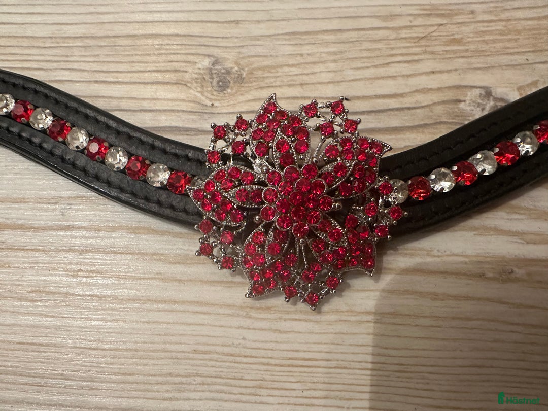 Övrig Hästutrustning hästutrustning till salu: Unika pannband till häst och ponny i Bro - Annons 4