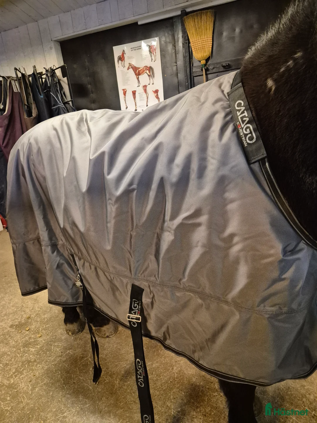Täcken hästutrustning till salu: Täcke med extra bogfrihet - Annons 2