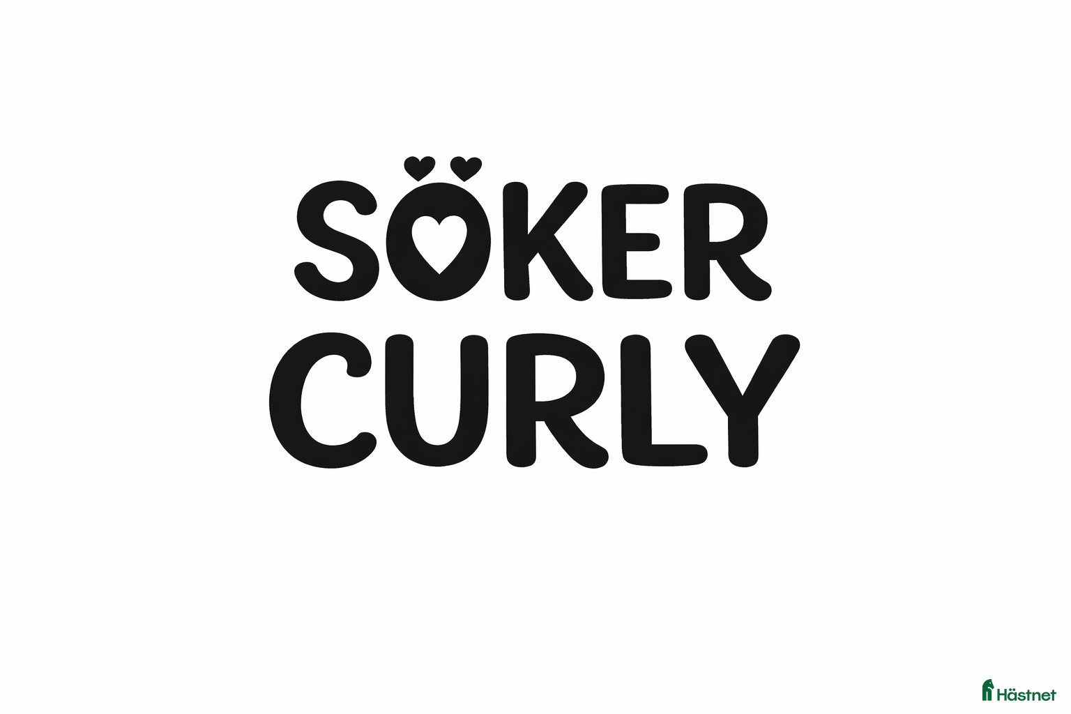  foderhäst Curly SÖKES - Annons 3