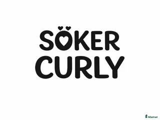 foderhäst Curly SÖKES - Annons 3