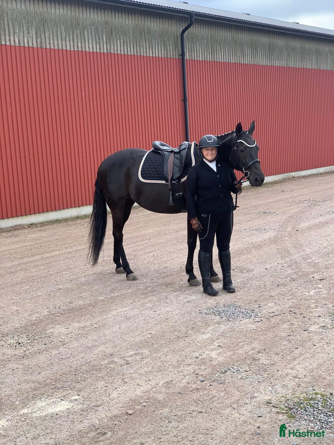  medryttarhäst finnes: Två medryttare sökes i Örkelljunga  i Örkelljunga - Annons 4