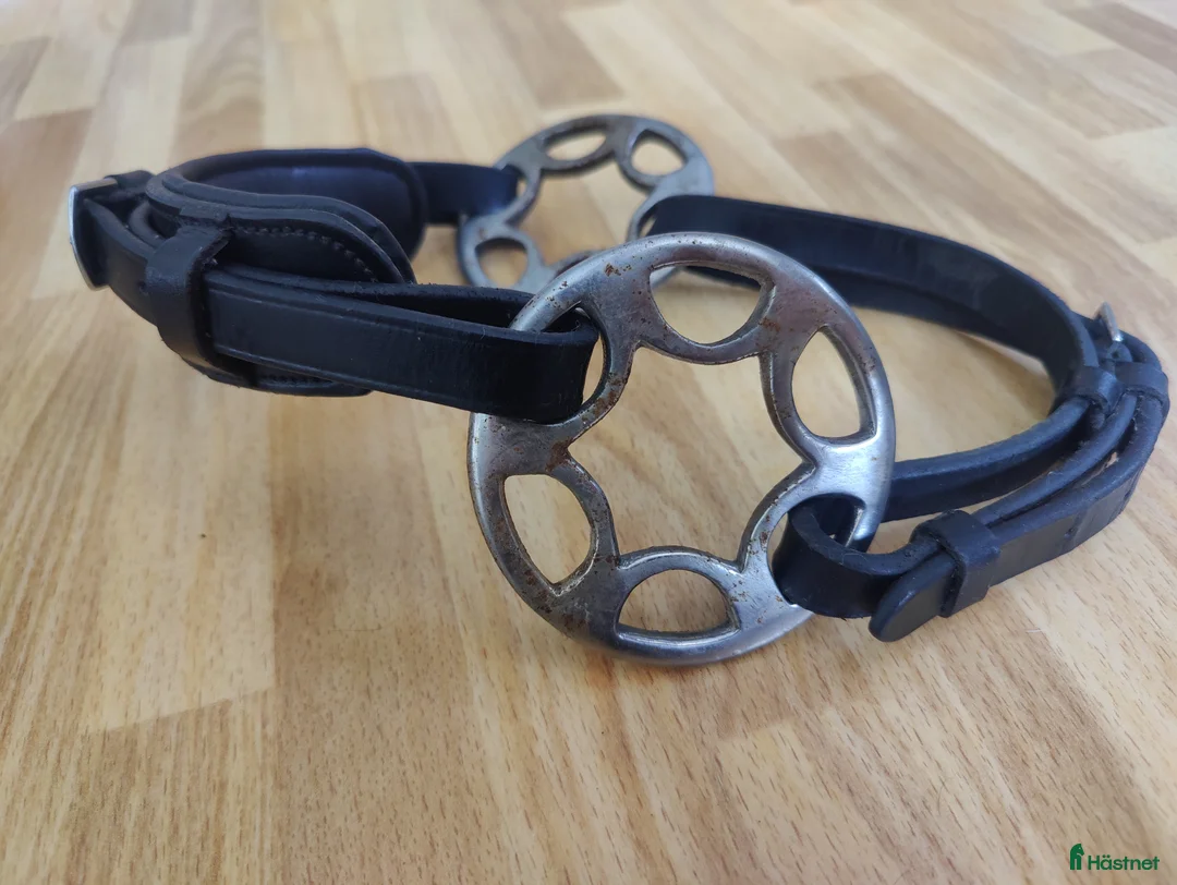 Träns hästutrustning till salu: Diverse utrustning  - Annons 3